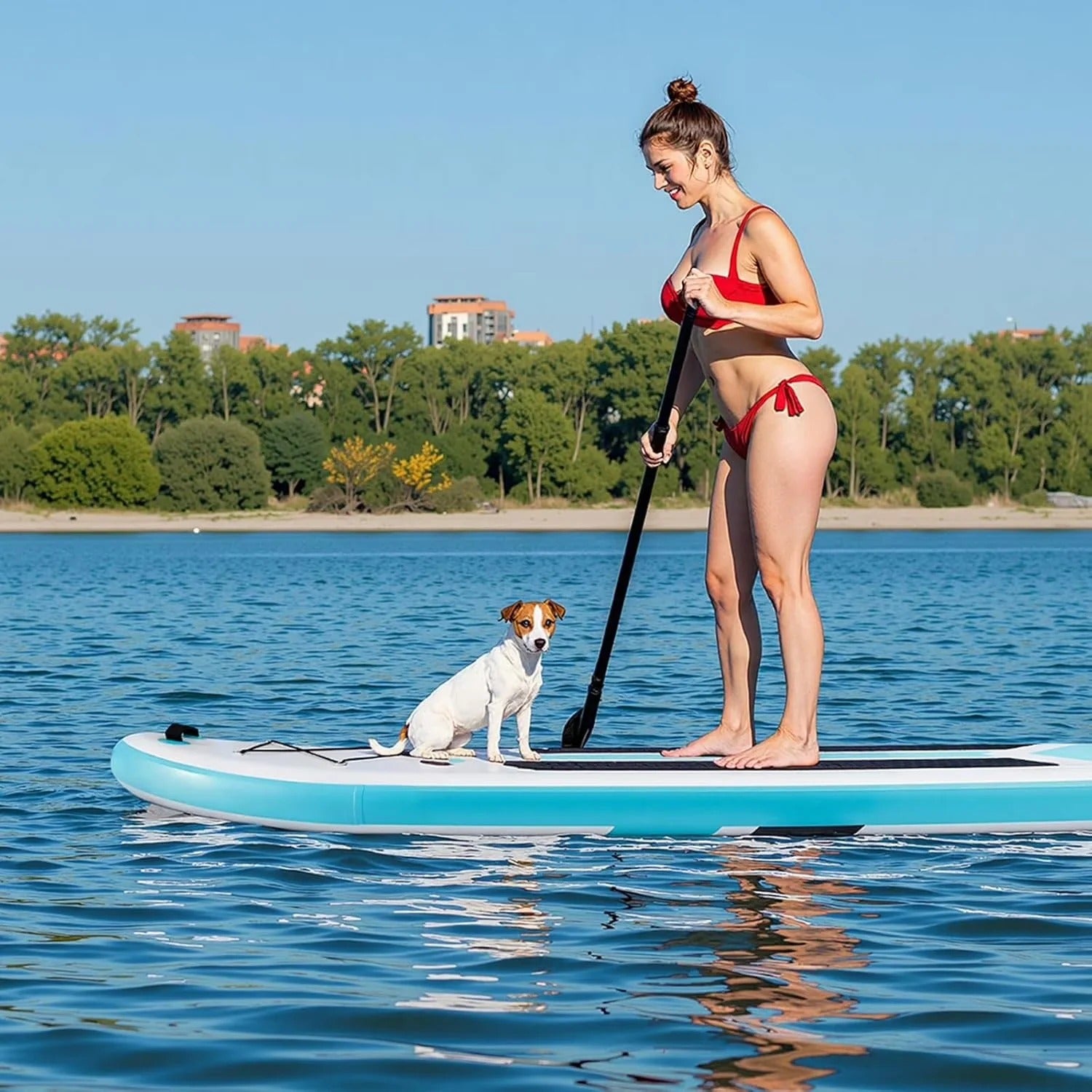 HOOMA© PaddlePro